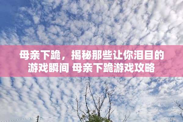 母亲下跪，揭秘那些让你泪目的游戏瞬间 母亲下跪游戏攻略