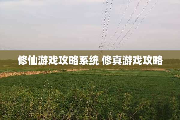 修仙游戏攻略系统 修真游戏攻略