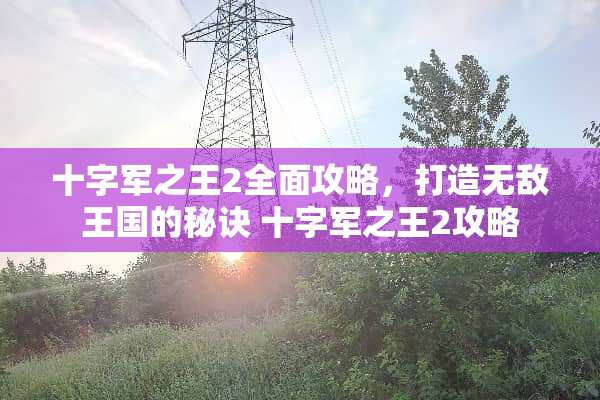 十字军之王2全面攻略，打造无敌王国的秘诀 十字军之王2攻略