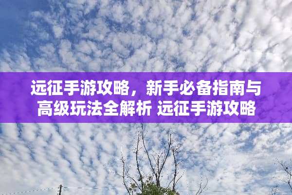 远征手游攻略，新手必备指南与高级玩法全解析 远征手游攻略