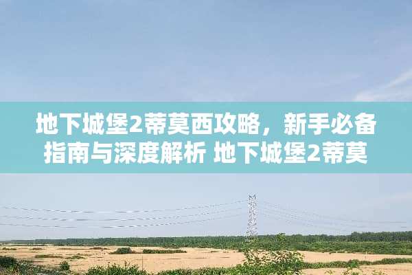**城堡2蒂莫西攻略，新手必备指南与深度解析 **城堡2蒂莫西攻略
