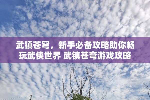 武镇苍穹，新手必备攻略助你畅玩武侠世界 武镇苍穹游戏攻略