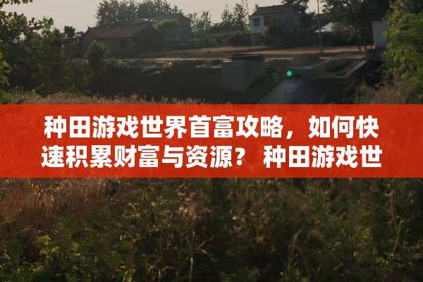 种田游戏世界首富攻略，如何快速积累财富与资源？ 种田游戏世界首富攻略