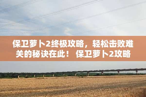 保卫萝卜2终极攻略，轻松击败难关的秘诀在此！ 保卫萝卜2攻略62