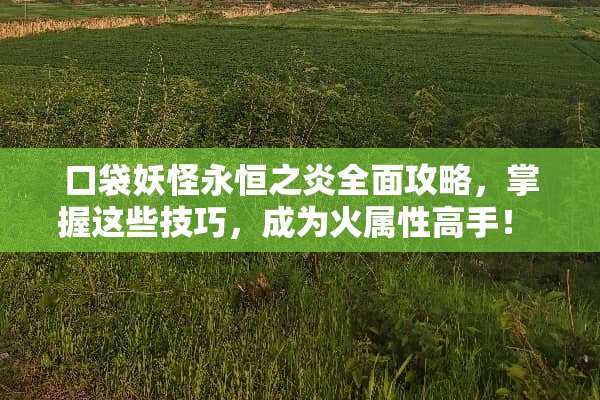 口袋妖怪永恒之炎全面攻略，掌握这些技巧，成为火属性高手！ 口袋妖永恒之炎攻略