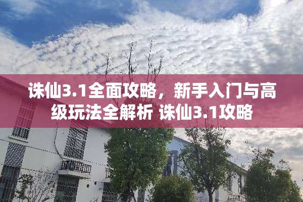 诛仙3.1全面攻略，新手入门与高级玩法全解析 诛仙3.1攻略