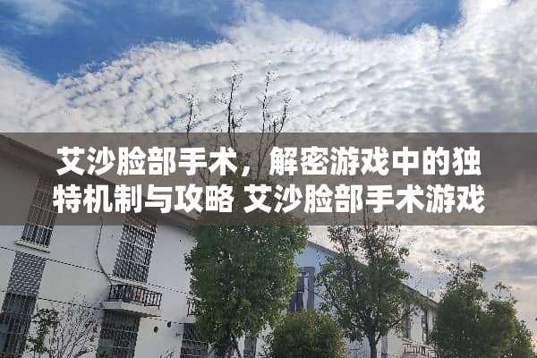 艾沙脸部手术，解密游戏中的独特机制与攻略 艾沙脸部手术游戏攻略