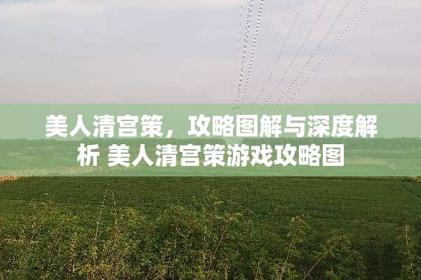 美人清宫策，攻略图解与深度解析 美人清宫策游戏攻略图
