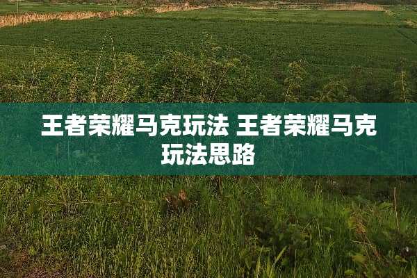 王者荣耀马克玩法 王者荣耀马克玩法思路