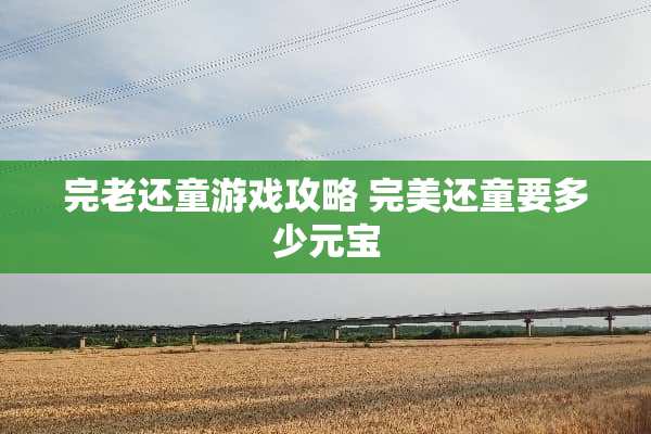 完老还童游戏攻略 完美还童要多少元宝