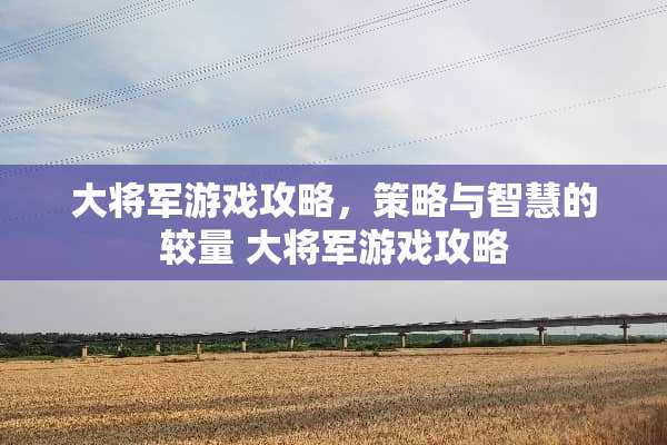 大将军游戏攻略，策略与智慧的较量 大将军游戏攻略