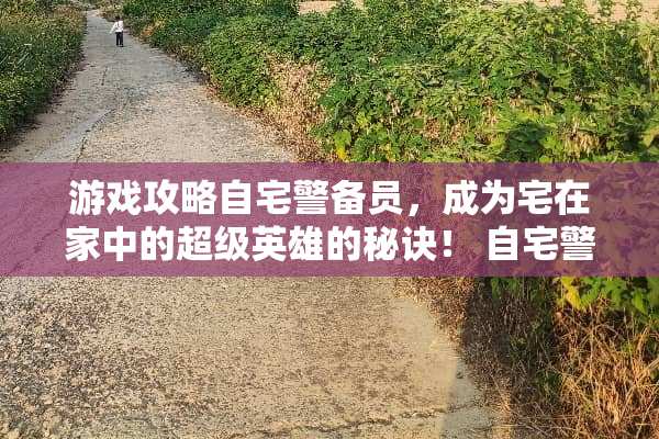 游戏攻略自宅警备员，成为宅在家中的超级英雄的秘诀！ 自宅警备员攻略