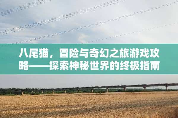 八尾猫，冒险与奇幻之旅游戏攻略——探索神秘世界的终极指南 八尾猫游戏攻略