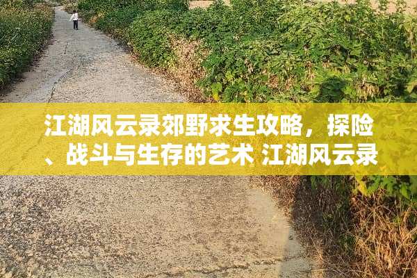 江湖风云录郊野求生攻略，探险、战斗与生存的艺术 江湖风云录郊野攻略
