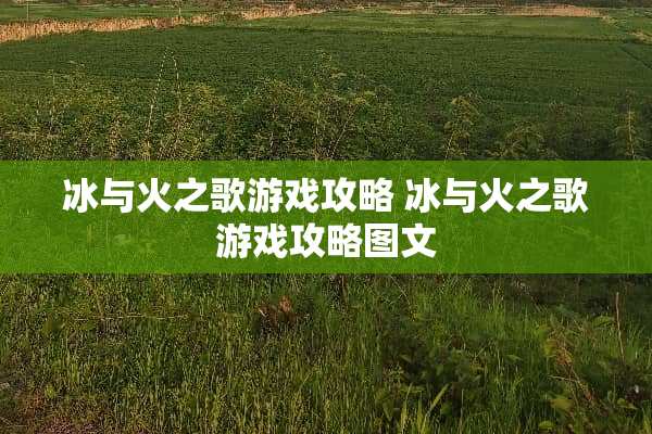 冰与火之歌游戏攻略 冰与火之歌游戏攻略图文