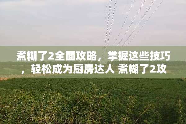 煮糊了2全面攻略，掌握这些技巧，轻松成为厨房达人 煮糊了2攻略