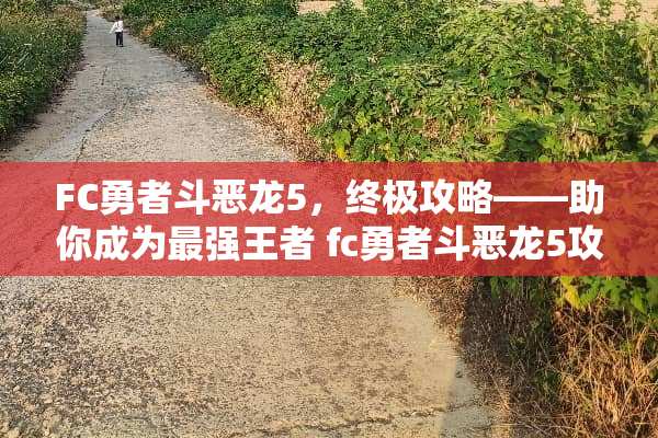 FC勇者斗恶龙5，终极攻略——助你成为最强王者 fc勇者斗恶龙5攻略
