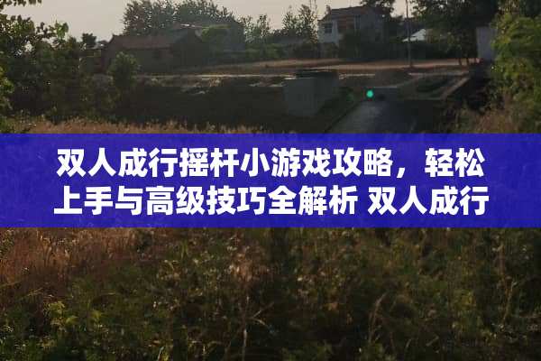 双人成行摇杆小游戏攻略，轻松上手与高级技巧全解析 双人成行摇杆小游戏攻略
