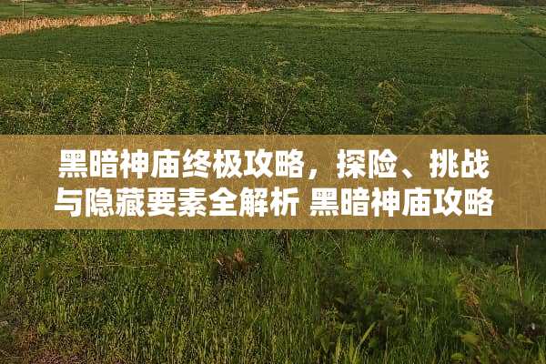 黑暗神庙终极攻略，探险、挑战与隐藏要素全解析 黑暗神庙攻略