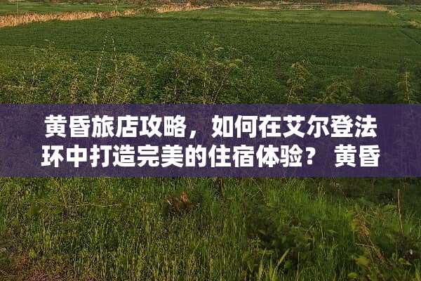 黄昏旅店攻略，如何在艾尔登法环中打造完美的住宿体验？ 黄昏旅店攻略