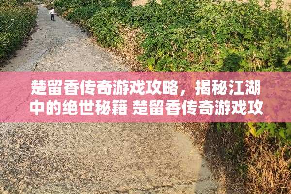 楚留香传奇游戏攻略，揭秘江湖中的绝世秘籍 楚留香传奇游戏攻略
