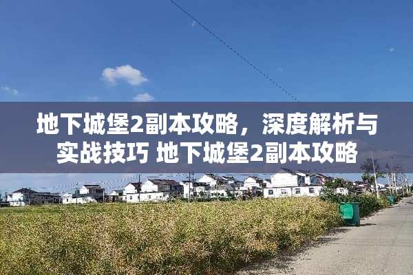 **城堡2副本攻略，深度解析与实战技巧 **城堡2副本攻略