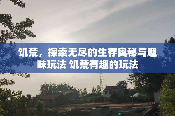 饥荒，探索无尽的生存奥秘与趣味玩法 饥荒有趣的玩法