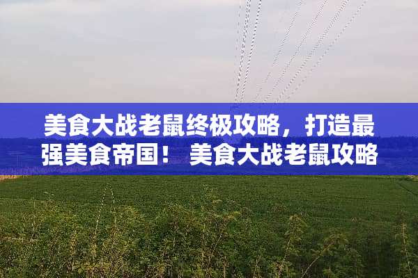 美食大战老鼠终极攻略，打造最强美食帝国！ 美食大战老鼠攻略