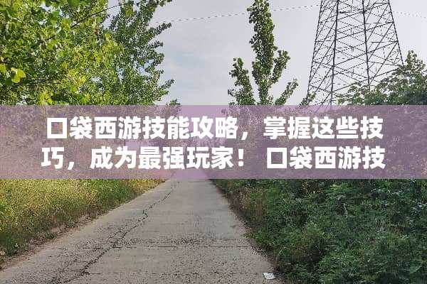 口袋西游技能攻略，掌握这些技巧，成为最强玩家！ 口袋西游技能