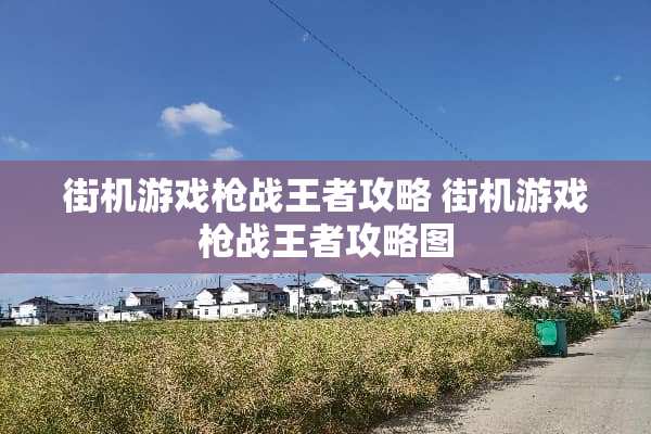 街机游戏*战王者攻略 街机游戏*战王者攻略图