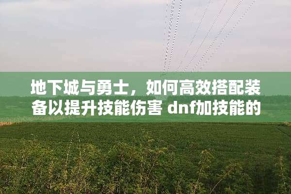 **城与勇士，如何高效搭配装备以提升技能伤害 dnf加技能的装备