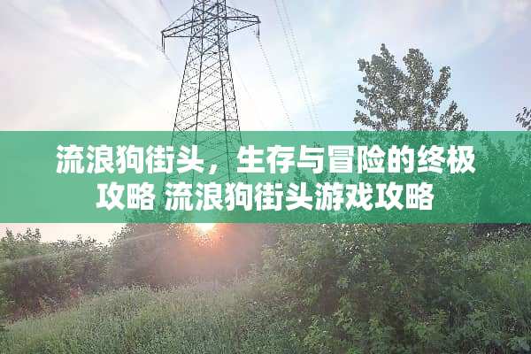 流浪狗街头，生存与冒险的终极攻略 流浪狗街头游戏攻略