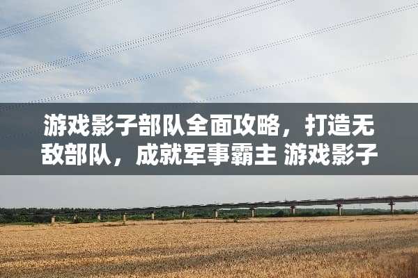 游戏影子**全面攻略，打造无敌**，成就军事霸主 游戏影子**攻略