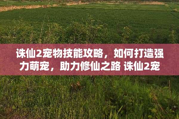 诛仙2宠物技能攻略，如何打造强力萌宠，助力修仙之路 诛仙2宠物技能