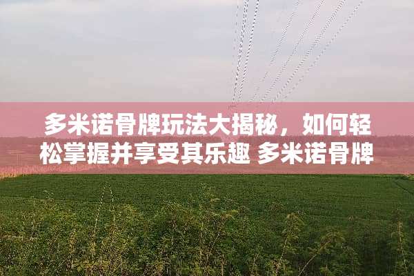多米诺骨牌玩法大揭秘，如何轻松掌握并享受其乐趣 多米诺骨牌玩法