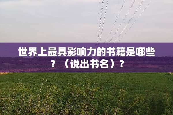 世界上最具影响力的书籍是哪些？（说出书名）？