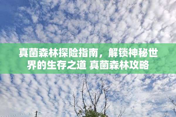 真菌森林探险指南，解锁神秘世界的生存之道 真菌森林攻略
