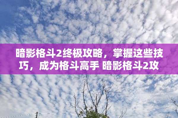 暗影格斗2终极攻略，掌握这些技巧，成为格斗高手 暗影格斗2攻略
