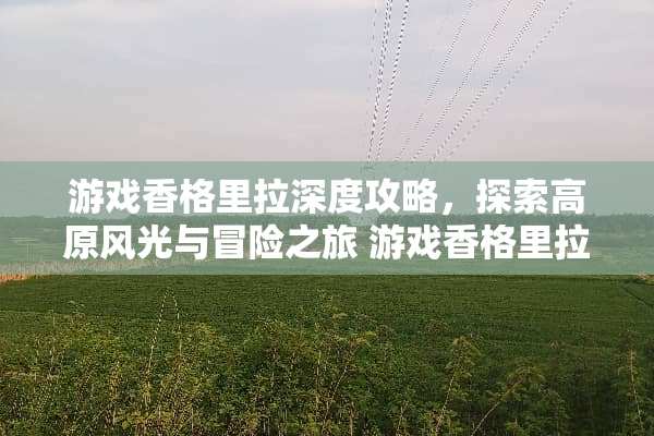 游戏香格里拉深度攻略，探索高原风光与冒险之旅 游戏香格里拉攻略