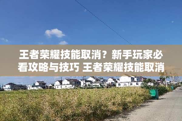 王者荣耀技能取消？新手玩家必看攻略与技巧 王者荣耀技能取消