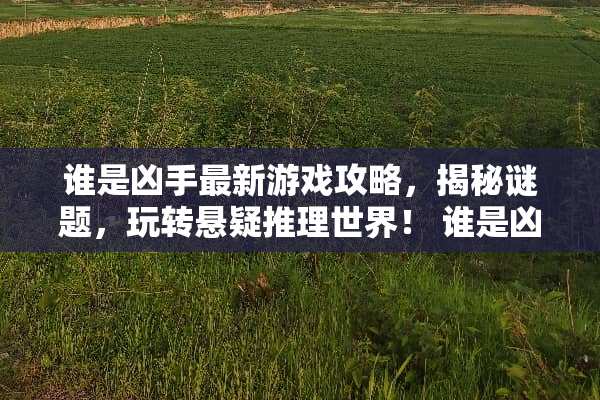 谁是凶手最新游戏攻略，揭秘谜题，玩转悬疑推理世界！ 谁是凶手最新游戏攻略