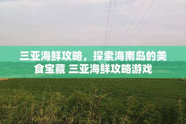 三亚海鲜攻略，探索海南岛的美食宝藏 三亚海鲜攻略游戏