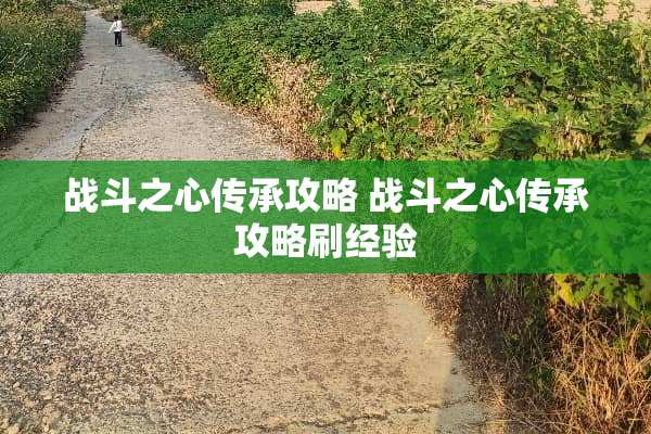 战斗之心传承攻略 战斗之心传承攻略刷经验
