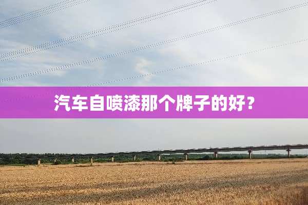 汽车自喷漆那个牌子的好？