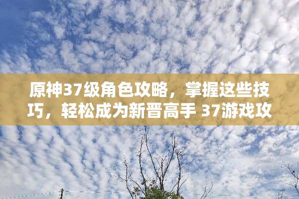 原神37级角色攻略，掌握这些技巧，轻松成为新晋高手 37游戏攻略原神