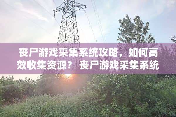 丧尸游戏采集系统攻略，如何高效收集资源？ 丧尸游戏采集系统攻略