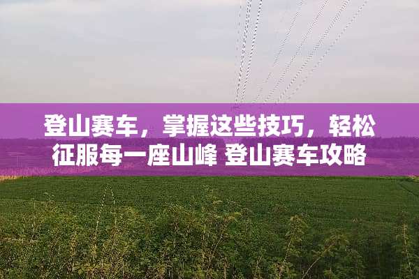 登山赛车，掌握这些技巧，轻松征服每一座山峰 登山赛车攻略