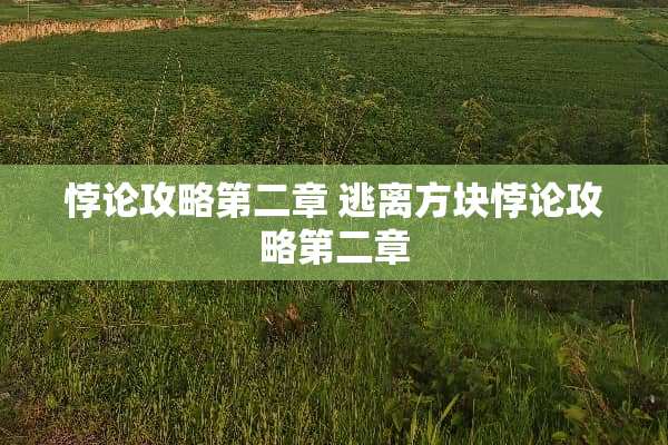 悖**略第二章 逃离方块悖**略第二章