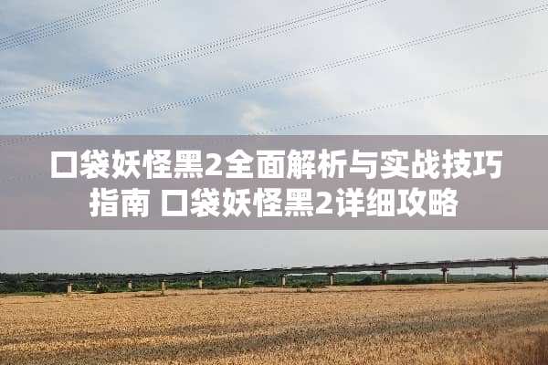 口袋妖怪黑2全面解析与实战技巧指南 口袋妖怪黑2详细攻略