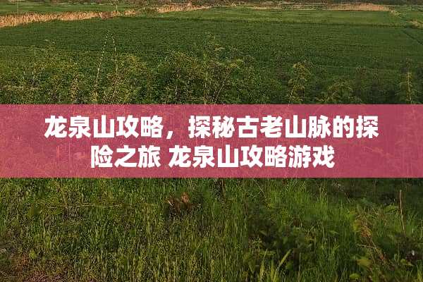 龙泉山攻略，探秘古老山脉的探险之旅 龙泉山攻略游戏